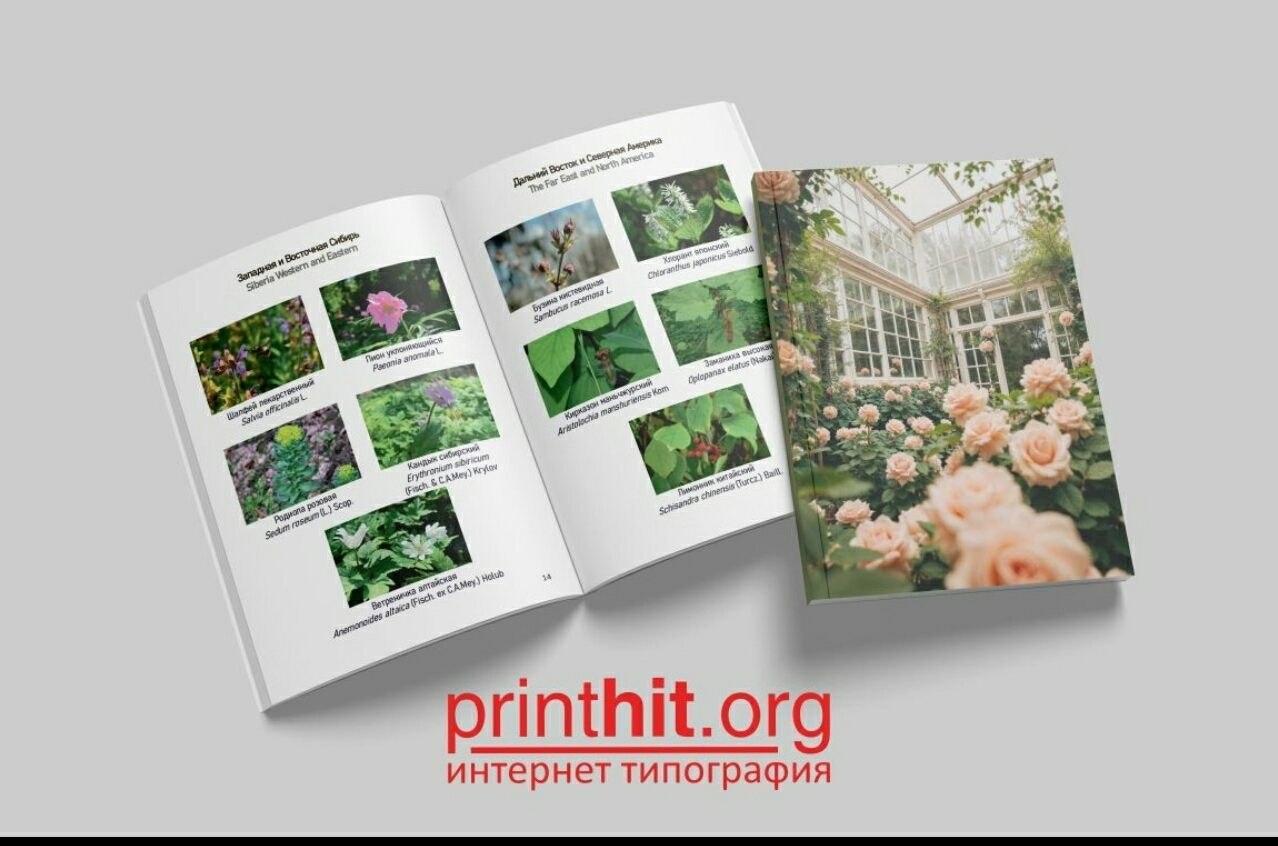 С Всемирным днем фотографии! С Всемирным днем фотографии!